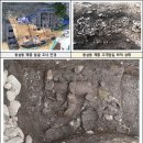 부산 동삼동 패총 웹이코노미