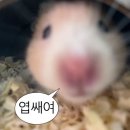 UR(강릉시)-[강릉대로]-하-54 | 개강 직전 8월 국내 여행 8.21~8.23