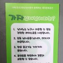 보드타는물고기 이미지