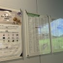 시티타워 스크린골프 이미지