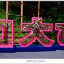 만천하스카이워크(정상) 이미지