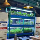 우성1농장 | 신사역 맛집 추천 신사교자냉삼, 찐 가성비 맛집 인정.