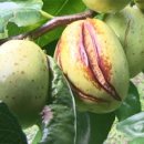 이용식농장 이미지