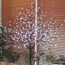 성산명가 이미지