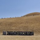 송학동-03 이미지