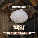 백합 - 도봉구 도봉로180나길 41 | 백합