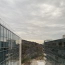 황기순의홍두께손칼국수 이미지