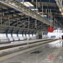 부활자동차 | 전기차 시대는 끝? 하이브리드 부활! 2025년 자동차 시장 대격변 분석 (feat. 싼타페, 쏘렌토)