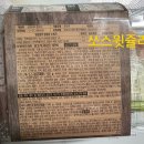 하림닭한마리 칼국수 | 하림 닭한마리 칼국수 밀키트