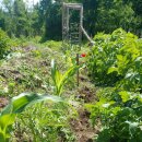 오뚜기농장 이미지