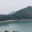 완도읍-13 티스토리