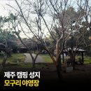 모구리야영장(가족영지) | 캠핑 가성비 모구리 야영장 이용요금 및 예약방법