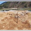 포도나무 민박 이미지