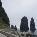 울릉대박펜션 이미지