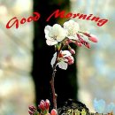 마루벌돌구이군산점 이미지