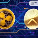 XRP가 $1,000에 도달하면 리플의 XRP 보유량이 40조 달러에 이를 수 있습니다.🧵🧵🧵