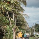 산호 농장 | 보홀 육상투어 코스 가격 초콜릿힐 안경원숭이 일정 후기