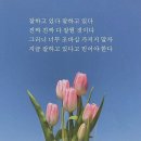 왕십리정곱창 이미지