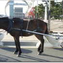 우리나라 최동단 포항 '호미곶'을 찾아서 이미지