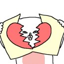 운정고양이호텔 이미지