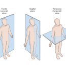 피쓰리짐 이미지