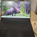 2021-주165 | 레이저 블레이드 그래픽 카드 14 code 43 오류 수리(실패)기