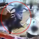 백주유치원 이미지