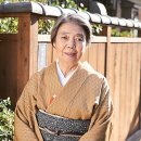 일일시호일 이미지