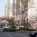 차리인동네 이미지