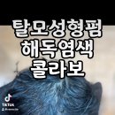 대남해운