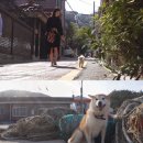 혜란농장 이미지