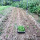 금원목장 이미지