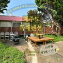 제주 구좌 한달살기 숙소 추천 세화해수욕장 30초거리 가성비 최고 독채 펜션 - 내돈내산
