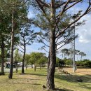 문암생태공원(반려견놀이터) 이미지