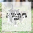 스마일치과의원 이미지
