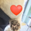 유폴 평택지제역점 이미지