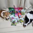 개들의 집 | [공지] (강아지 간식 추천)개님의 상점! 흡수력 좋은 패드와 기호성 좋은강아지 간식 급여 후기