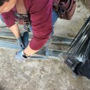 영광농장 이미지