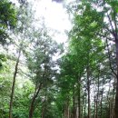 우장산로10길 이미지