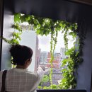 경북예술장터 ㅡ인사마루갤러리 이미지