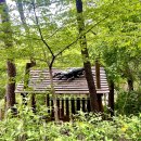 도서관 놀이산책 이미지