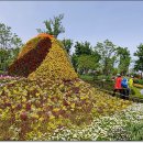 내고향 순천 이미지