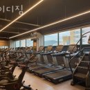 와이디짐 이미지