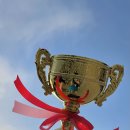 실과 함께 이미지