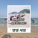 쵸이스 | 양양 서핑 처음이라면? 성지에서 입문부터 파티까지 오션초이스 솔직 후기 꿀팁