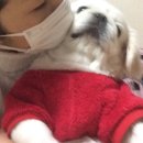 원스타컴퍼니