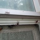 부평동경로당 이미지