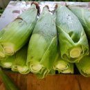 옥수농장 이미지