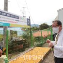 이패1통 이미지