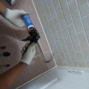 신내두산,화성 이미지